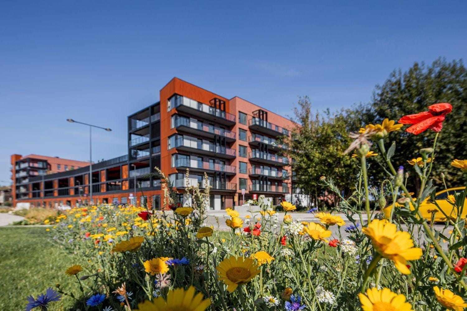 Apartament Nadmotlawie 34 格但斯克 外观 照片